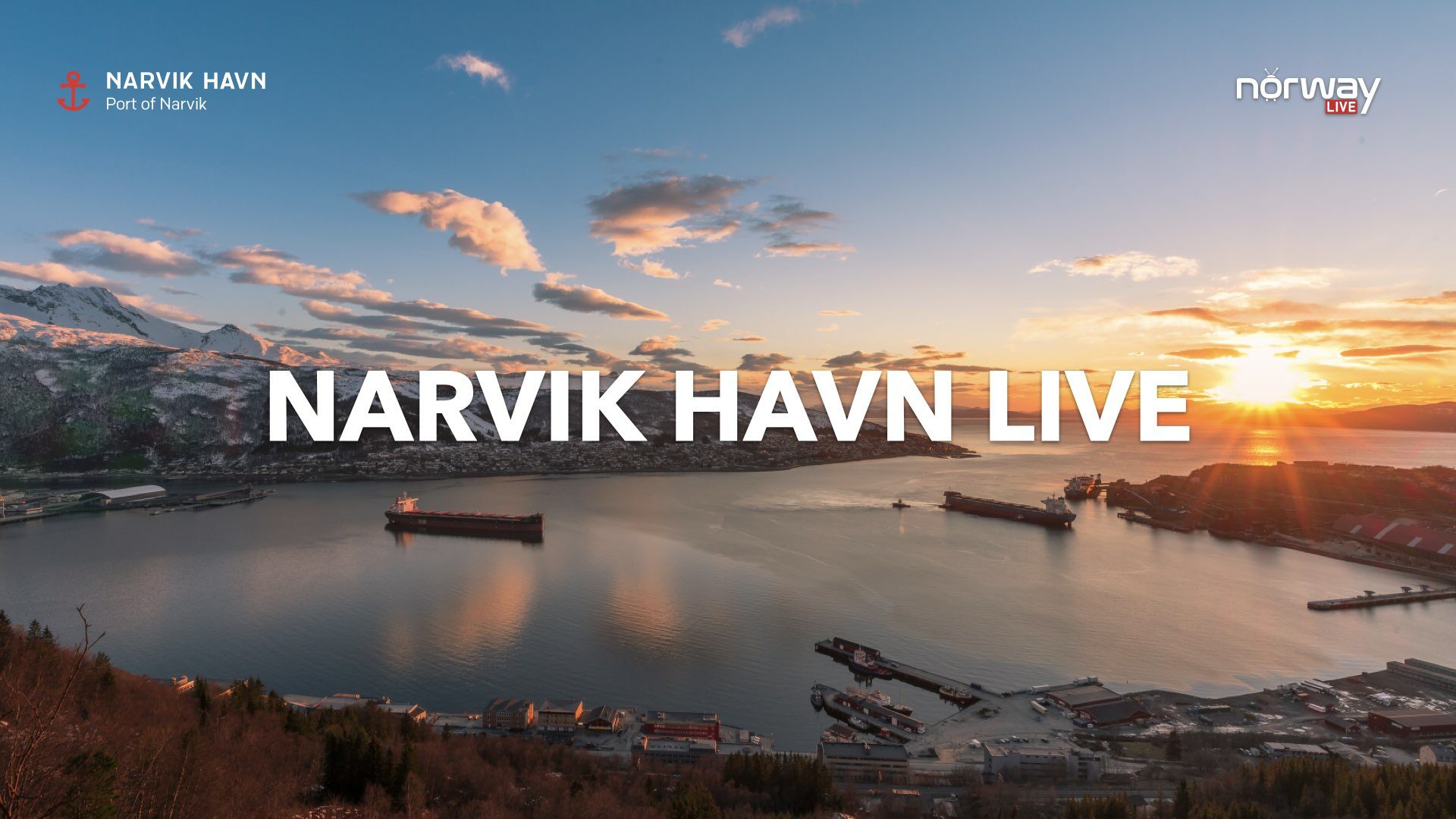 Narvik Havn LIVE