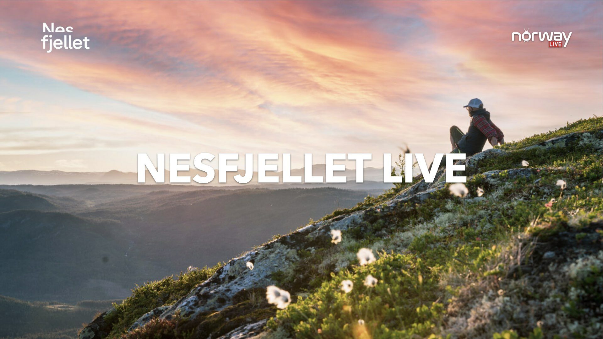 Nesfjellet